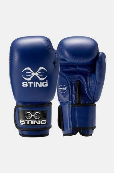 Sting boxing gloves